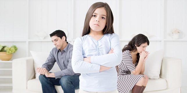 NUEVA REGULACION DE LA CUSTODIA